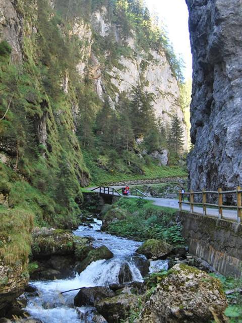 Appartamenti Chalet Al Lago Alleghe Bagian luar foto